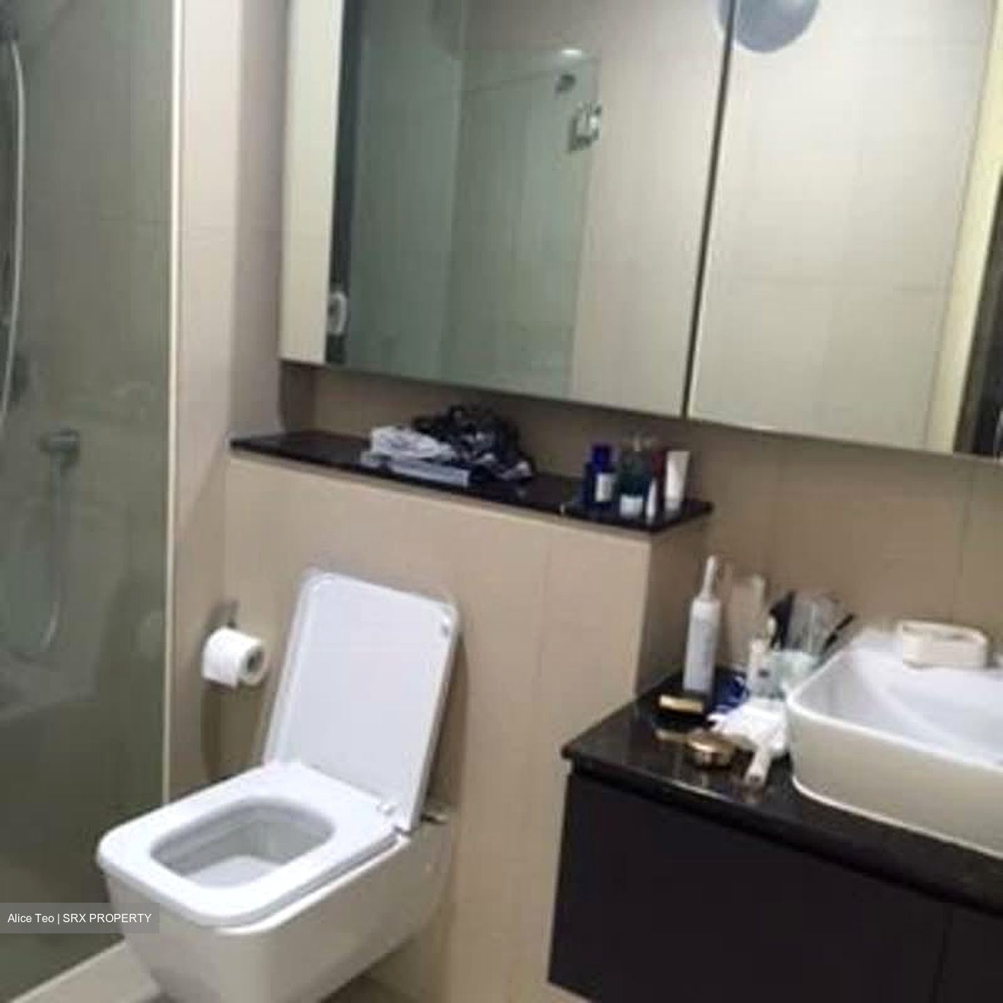 Spottiswoode Residences (D2), Condominium #631078871